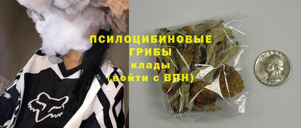 прущая мука Армянск
