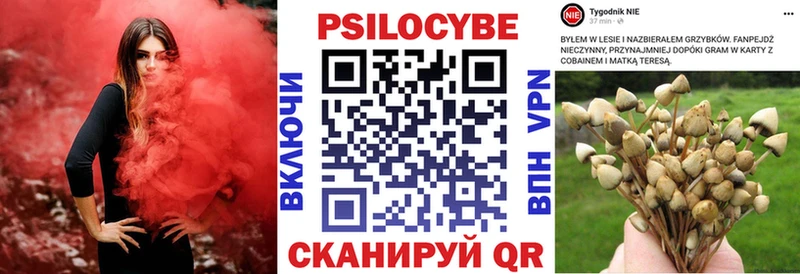 Псилоцибиновые грибы мухоморы  как найти закладки  Белозерск 